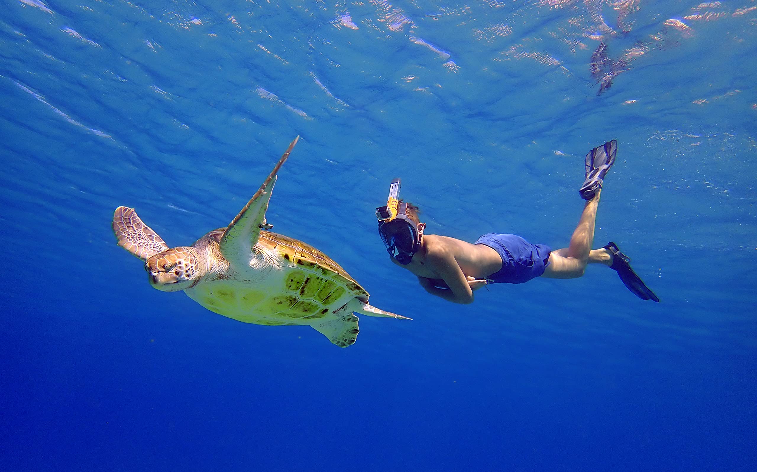 Full Face Snorkeling Mask with 180 Degree Underwater View