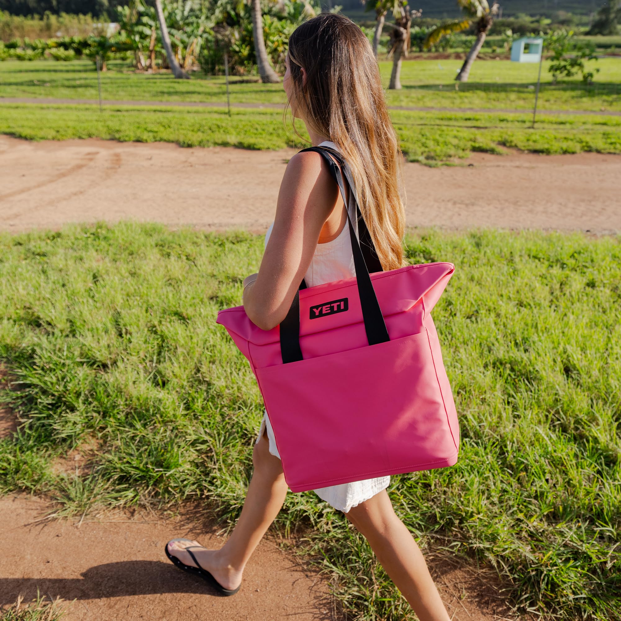20L Insulated Soft Cooler Tote Bag for Food and Drinks