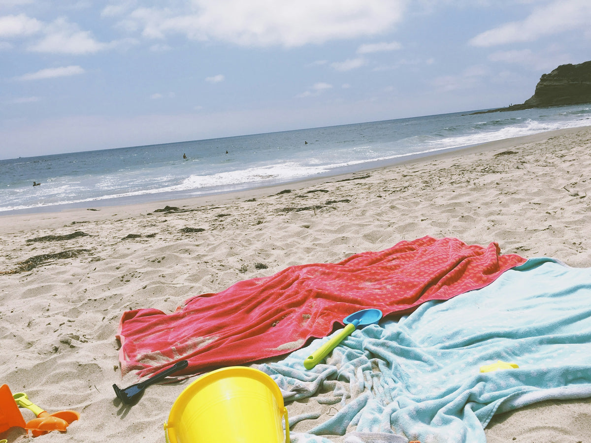 Shoreline Essentials